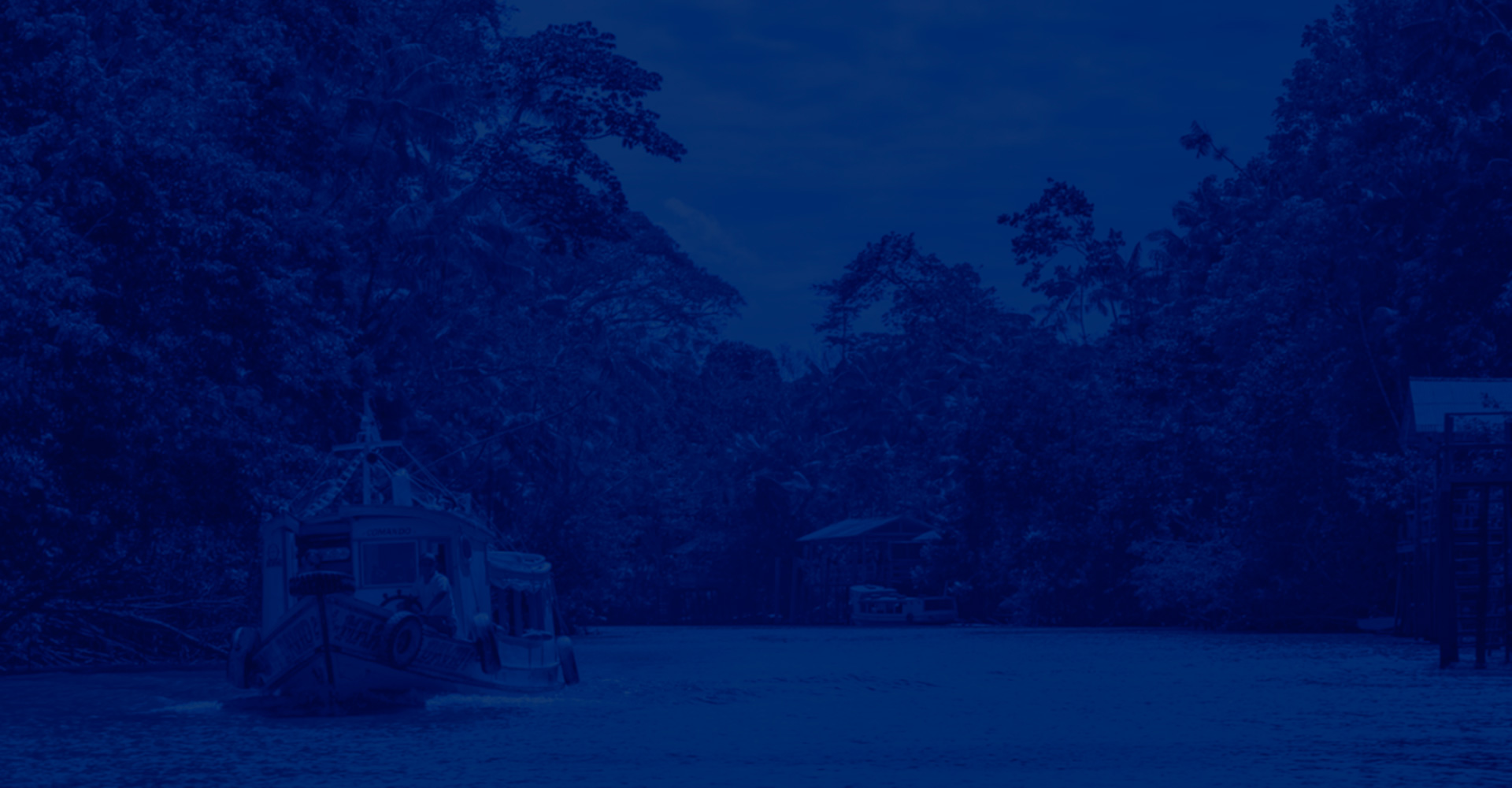 Brazil Amazon Turismo